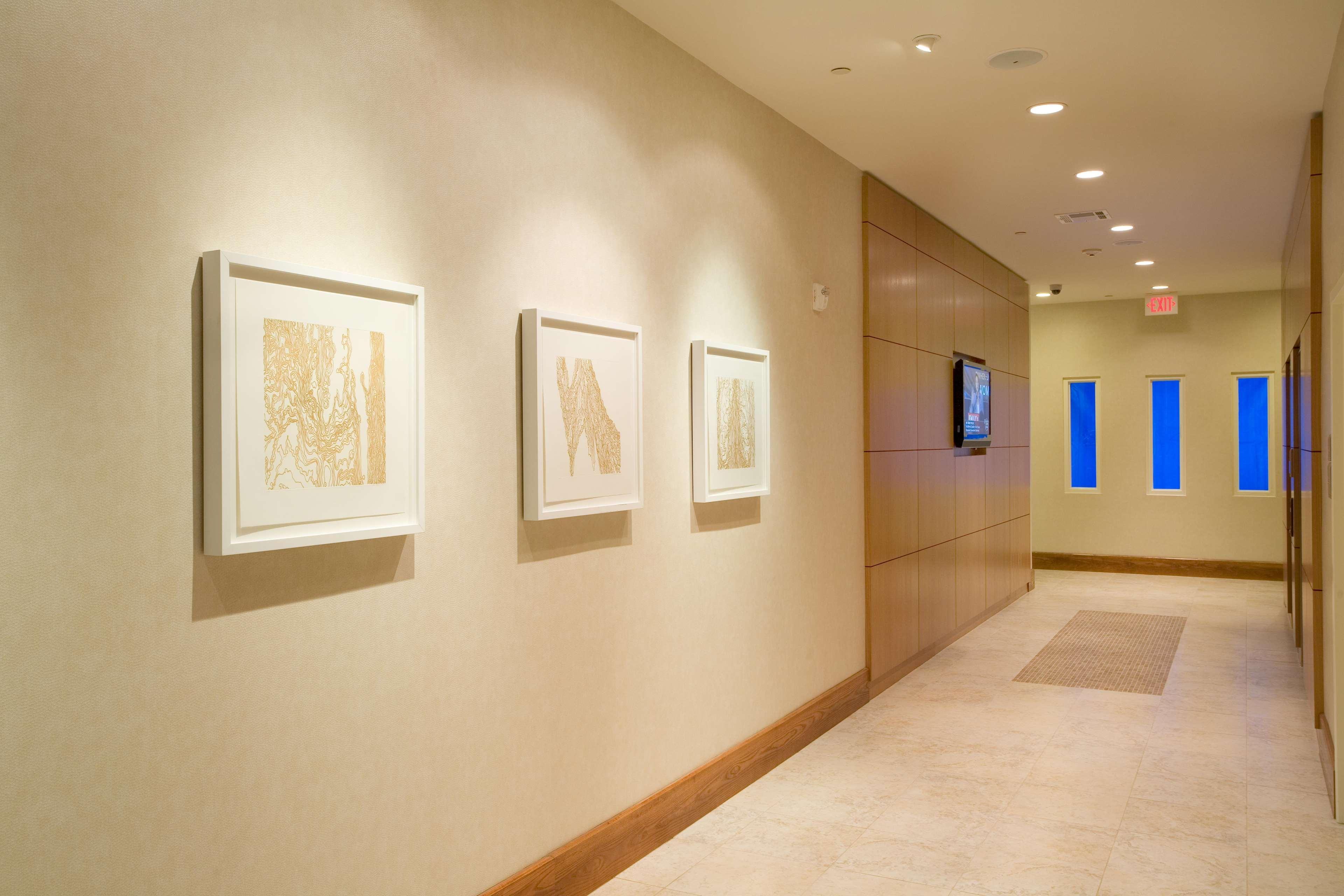 Hilton Garden Inn Dallas Richardson Extérieur photo